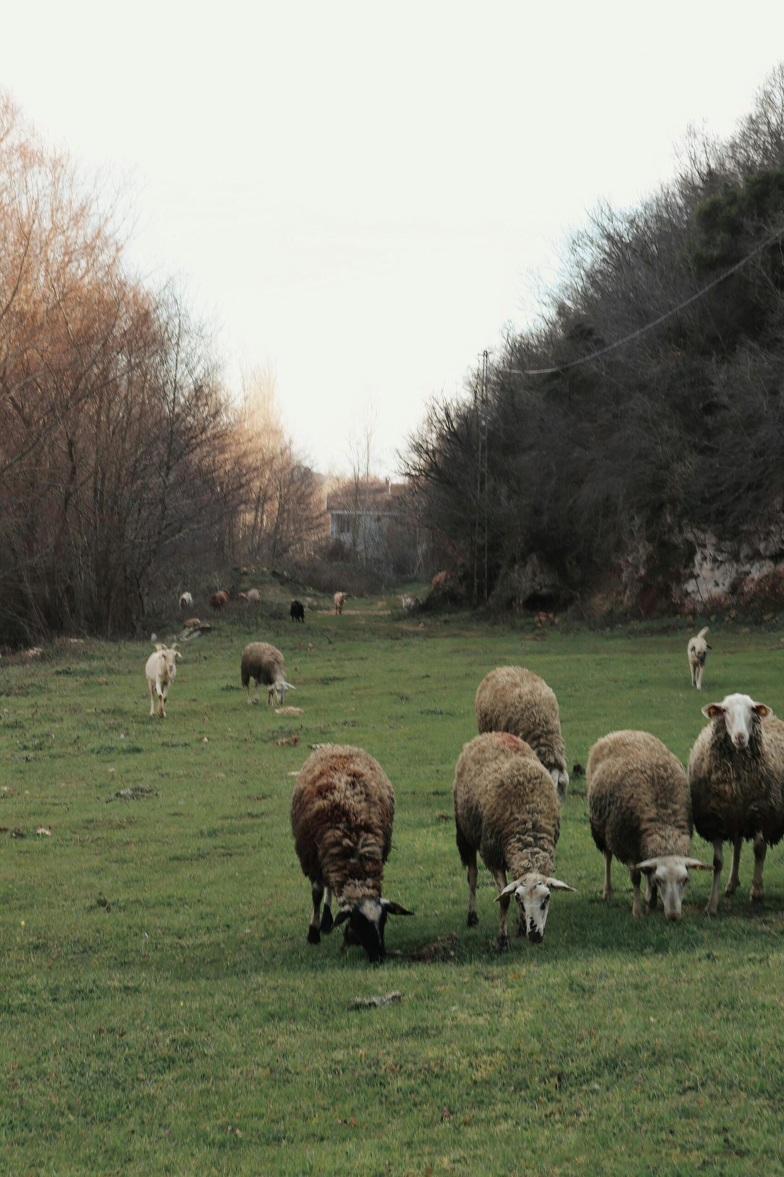 pexels-bersah-b-61452992-8065850